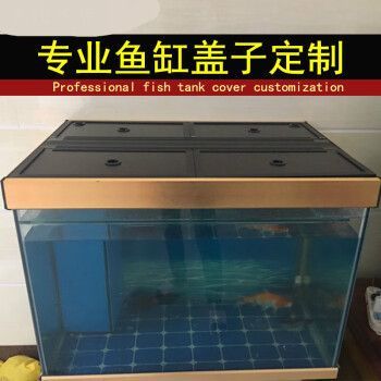 龍魚魚缸溫度：龍魚水溫控制技巧，夏季龍魚降溫方法，