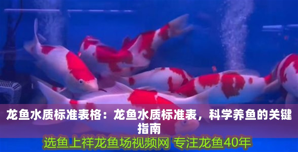 龍魚水質(zhì)標(biāo)準(zhǔn)表格：龍魚水質(zhì)標(biāo)準(zhǔn)表，科學(xué)養(yǎng)魚的關(guān)鍵指南