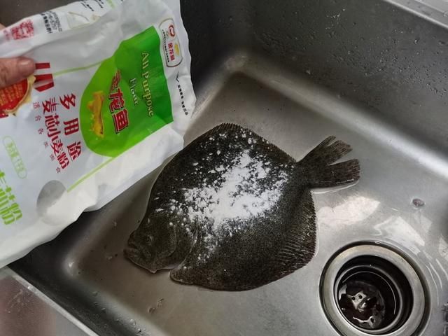 龍魚能吃雞蛋嗎：龍魚可以吃雞蛋嗎