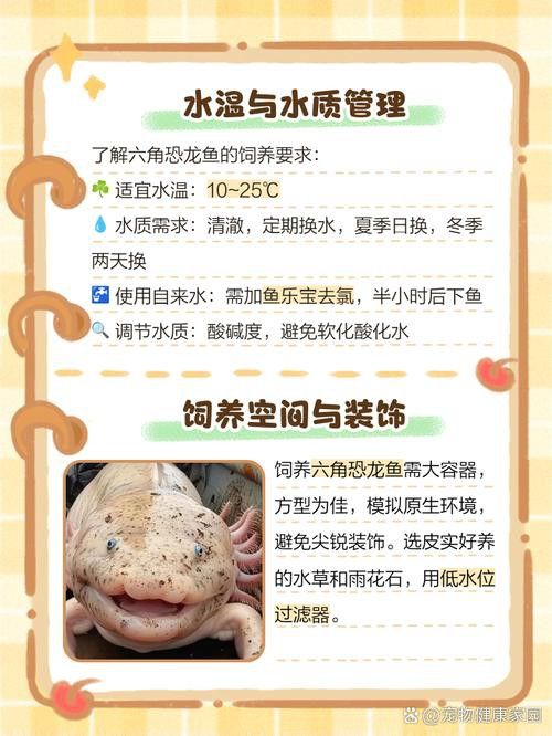 六角恐龍魚身上有白色絮狀物圖片
