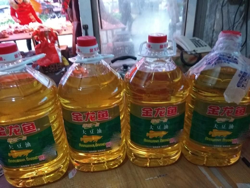 金龍魚需要驅(qū)蟲嗎：金龍魚使用鹽可以放鹽嗎(金龍魚使用鹽嗎