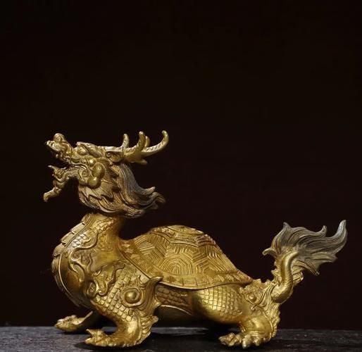 能提供一些高清的龍龜圖片嗎？