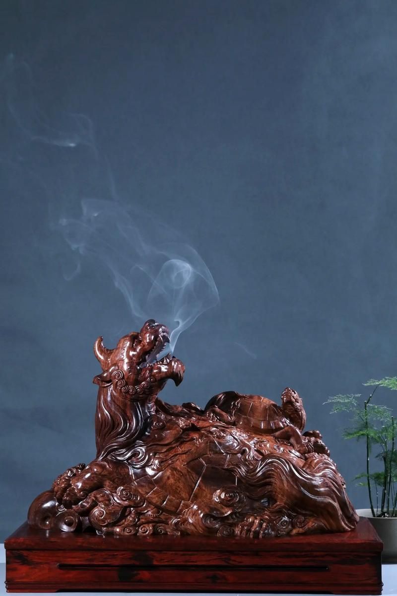 能提供一些高清的龍龜圖片嗎？