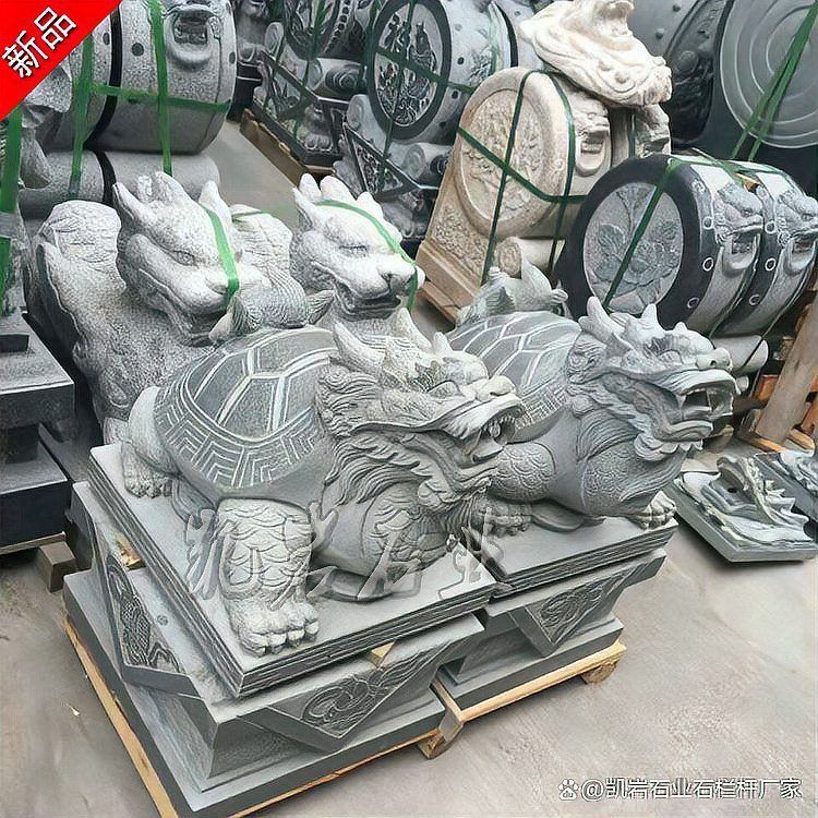 能提供一些高清的龍龜圖片嗎？