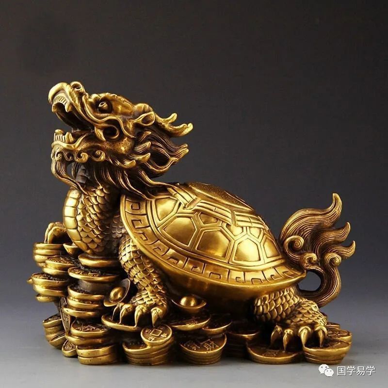 能提供一些高清的龍龜圖片嗎？