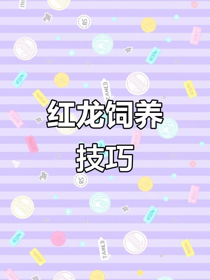 紅龍魚發(fā)色需要哪些營養(yǎng)素？