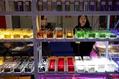 龍魚一年電費：關于龍魚一年的電費開銷