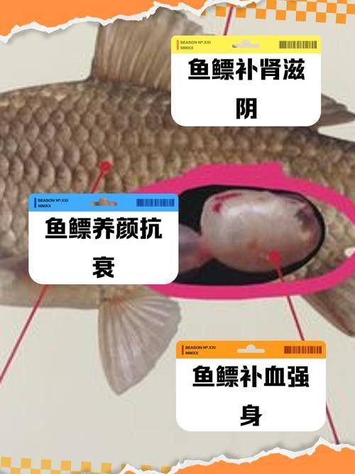 龍魚頭上翹尾巴下沉