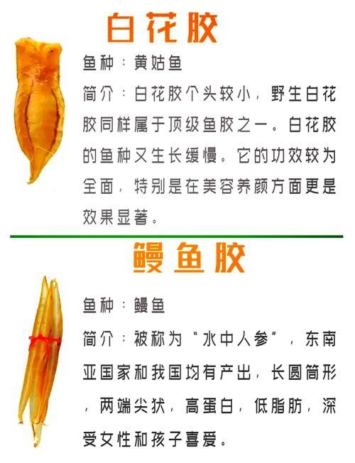 龍魚頭上翹尾巴下沉