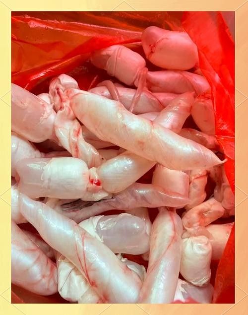 龍魚頭上翹尾巴下沉