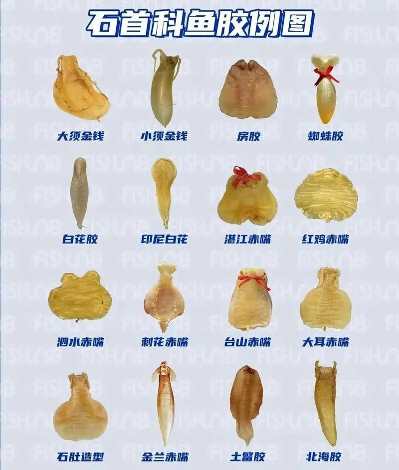 龍魚頭上翹尾巴下沉