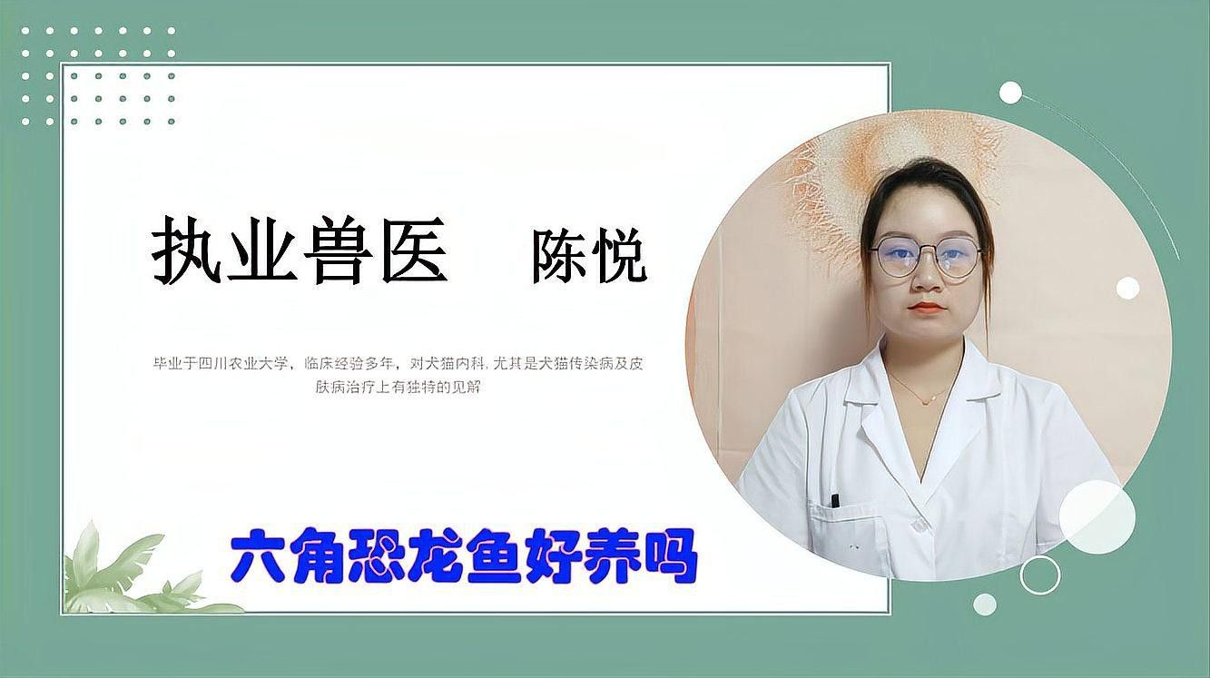 六角龍魚(yú)好養(yǎng)不好釣怎么回事 六角龍魚(yú)好養(yǎng)不好釣怎么回事 龍魚(yú)百科 第7張