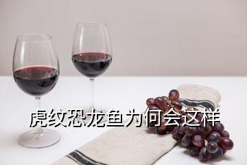 虎紋恐龍魚捕食方法（虎紋恐龍魚捕食方法詳細介紹虎紋恐龍魚捕食技巧提升）