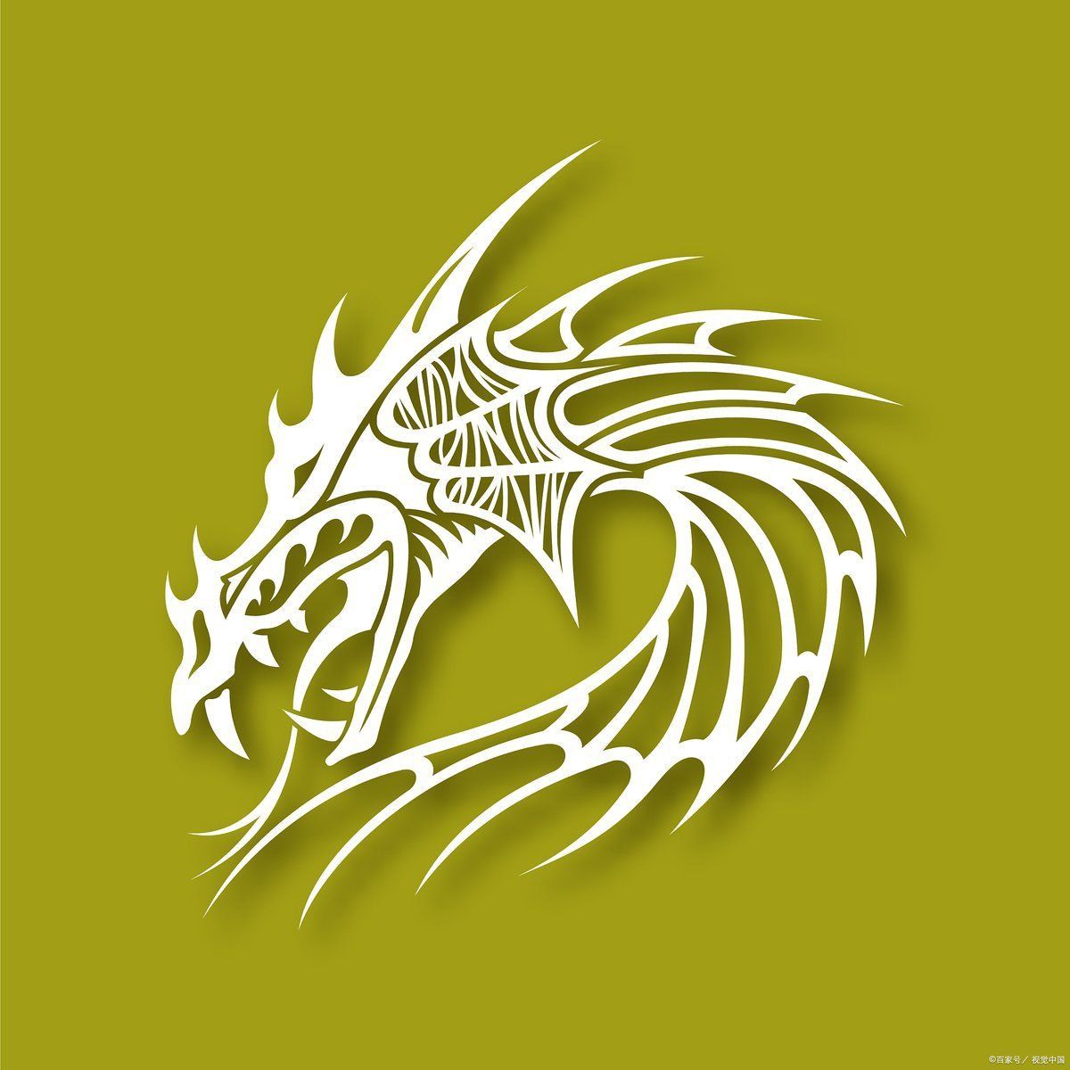 龍 風(fēng)水作用 龍魚百科 第9張 龍 風(fēng)水作用 龍 風(fēng)水作用 龍魚百科 第9張
