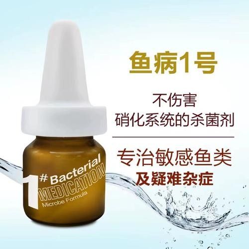 龍魚病癥與治療方法圖片高清