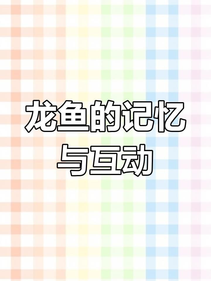 龍魚不能隨便認(rèn)的原因