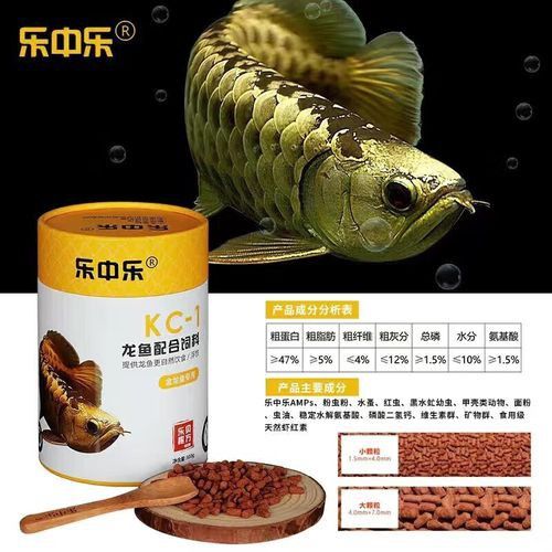 紅龍魚飼料配方大全表圖片 紅龍魚飼料配方大全表圖片 龍魚百科 第11張