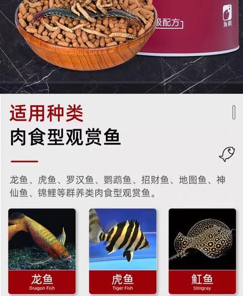 紅龍魚飼料配方大全表圖片 紅龍魚飼料配方大全表圖片 龍魚百科 第40張