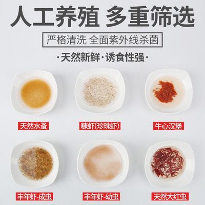 龍魚哪家好，龍魚養殖技巧有哪些