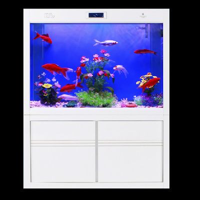 紅龍魚出框怎么看（紅龍魚出框什么時候變紅）