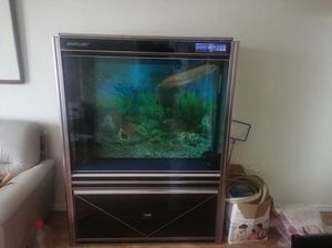 金九龍魚缸怎么安裝：安裝金九龍魚缸需要經過一系列的步驟