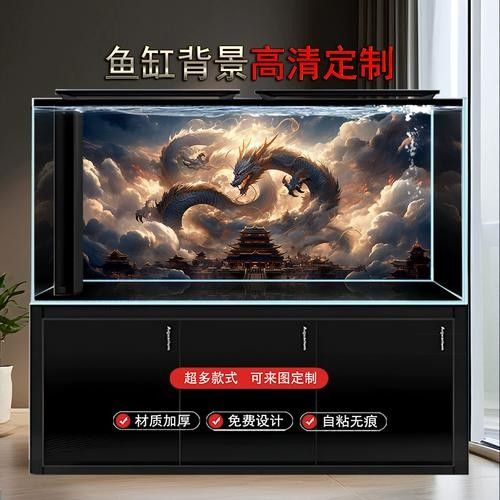龍魚(yú)魚(yú)缸最佳尺寸圖