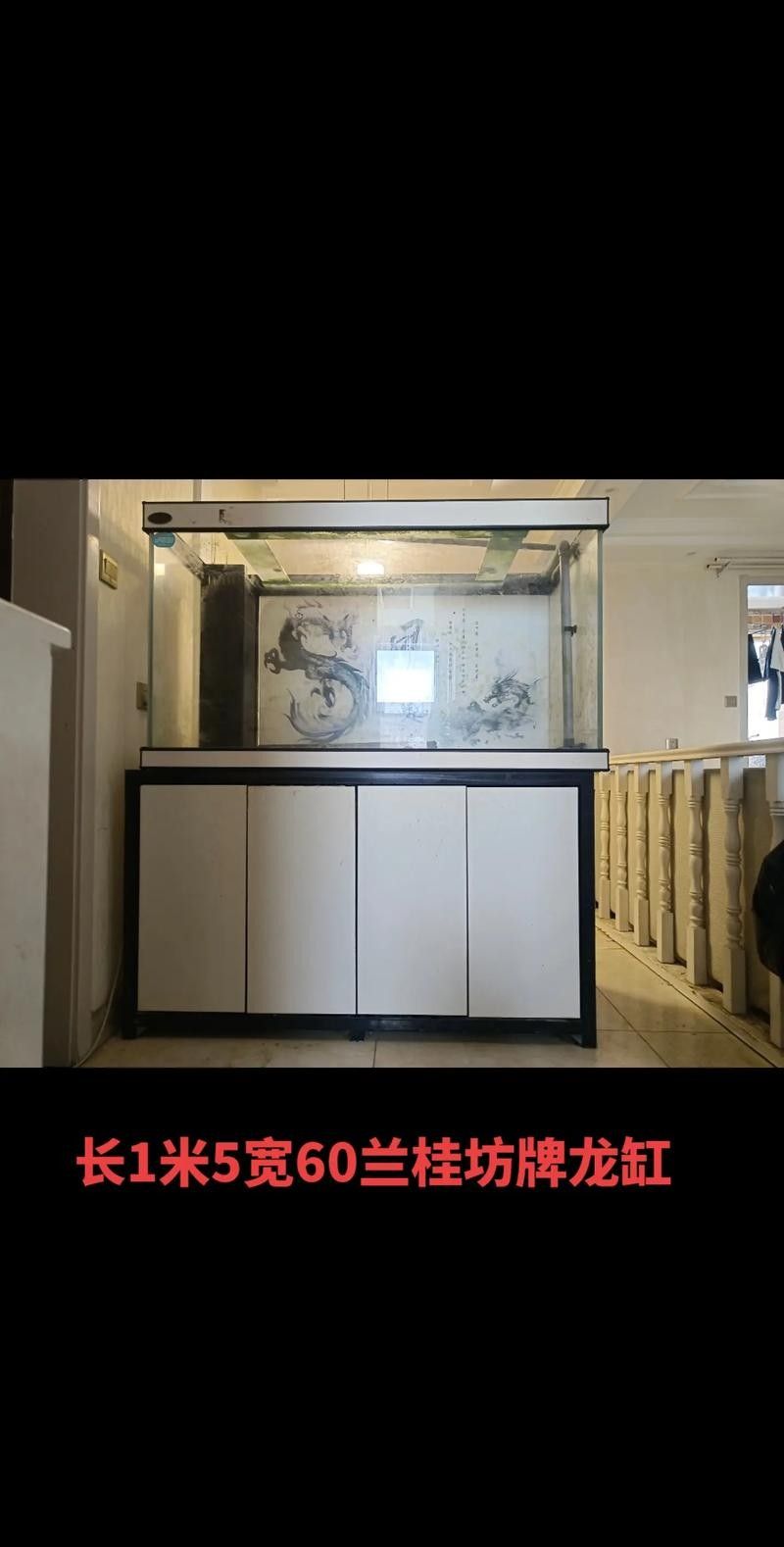 龍魚(yú)魚(yú)缸最佳尺寸圖