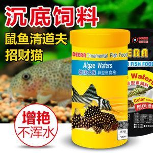 招財貓魚苗飼料選擇指南：招財貓魚苗飼料品牌推薦