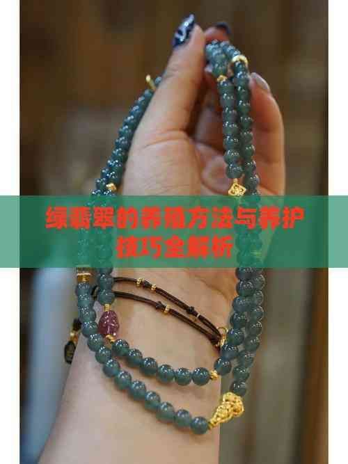 綠翡翠鳳凰魚最簡單三個步驟
