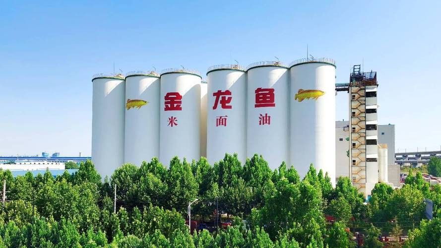 金龍魚成都工廠