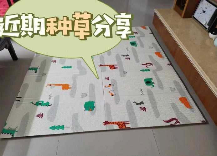 曼龍爬行墊哪個系列適合早教 曼龍爬行墊哪個系列適合早教 龍魚百科 第10張