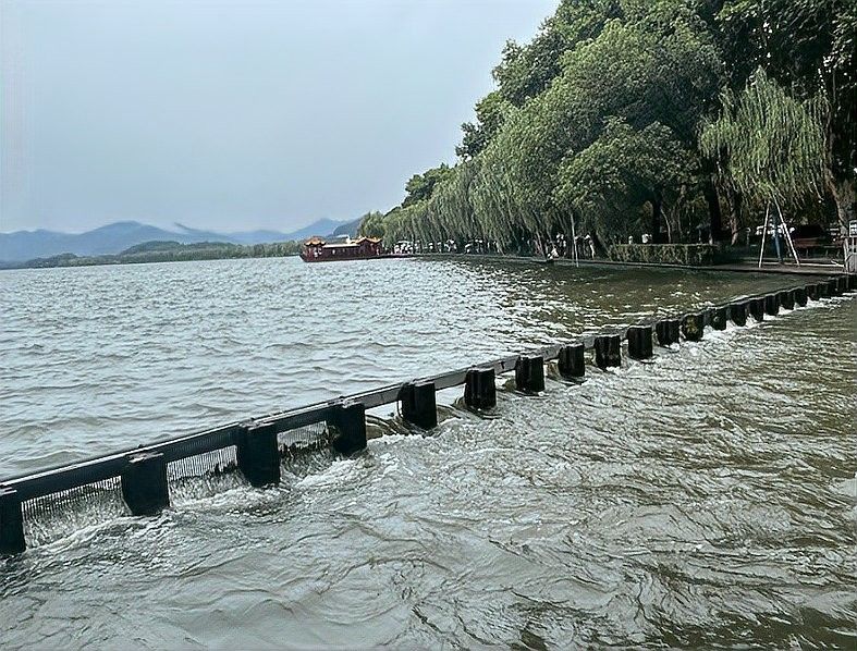 香港龍魚(yú)門(mén)躍圖片高清大圖