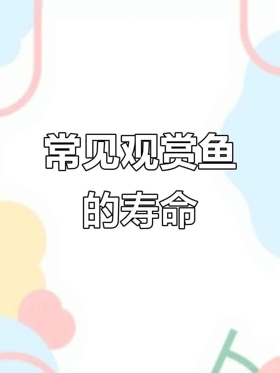 哪種小型觀賞魚壽命最長 龍魚百科 第4張 哪種小型觀賞魚壽命最長 哪種小型觀賞魚壽命最長 龍魚百科 第4張