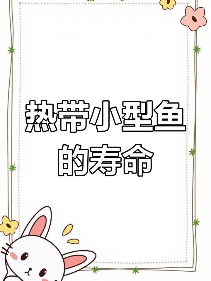 哪種小型觀賞魚壽命最長 龍魚百科 第3張 哪種小型觀賞魚壽命最長 哪種小型觀賞魚壽命最長 龍魚百科 第3張