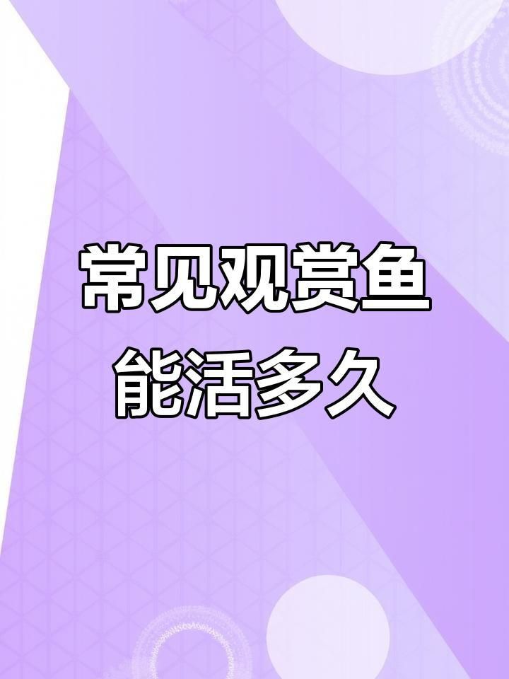 哪種小型觀賞魚壽命最長 龍魚百科 第2張 哪種小型觀賞魚壽命最長 哪種小型觀賞魚壽命最長 龍魚百科 第2張