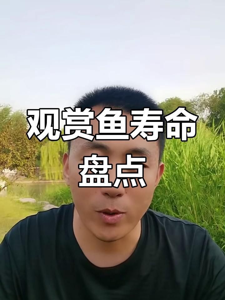 哪種小型觀賞魚壽命最長 龍魚百科 第5張 哪種小型觀賞魚壽命最長 哪種小型觀賞魚壽命最長 龍魚百科 第5張