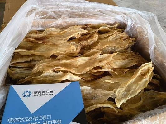 進口龍魚回國需要什么手續才能養活：如何選擇進口龍魚