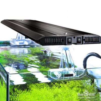 龍魚缸改草缸用什么燈：龍魚缸改草缸用什么燈，龍魚缸改草缸用什么燈好