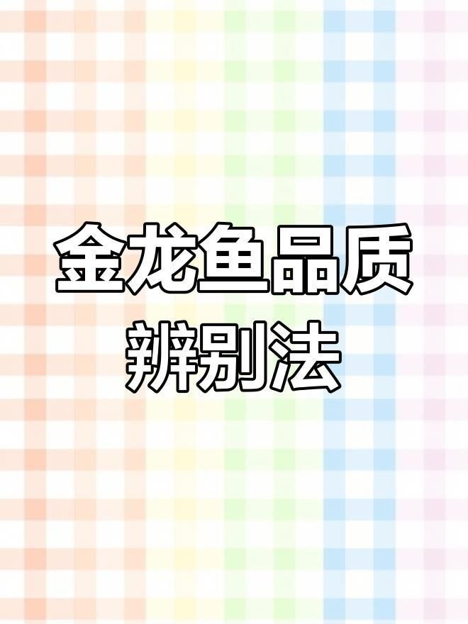 如何鑒別金龍魚的品種和品相？