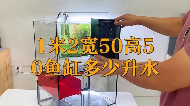 1米2寬50高50龍魚缸
