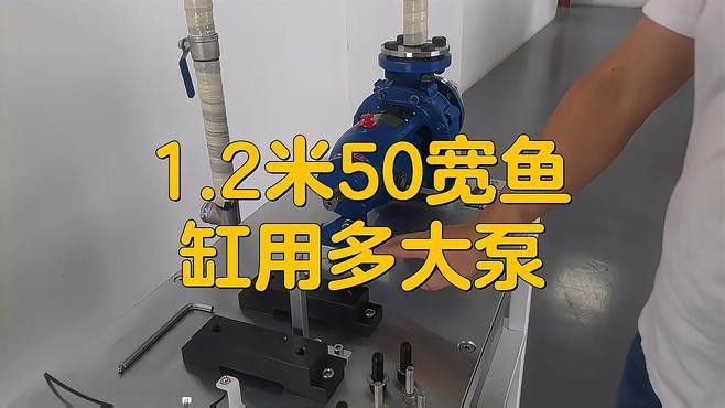 1米2寬50高50龍魚缸
