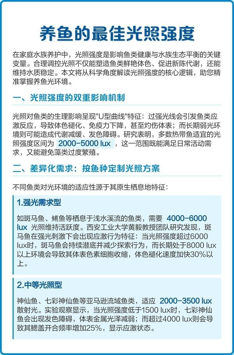 紅龍魚適應(yīng)13000K燈需要多久？