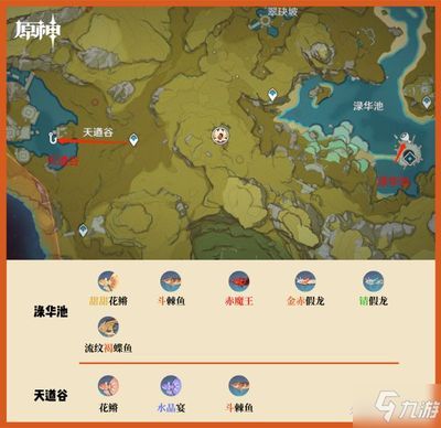 龍魚釣魚點原神：原神釣魚之龍魚釣魚 龍魚釣魚點原神：原神釣魚之龍魚釣魚 龍魚百科 第3張
