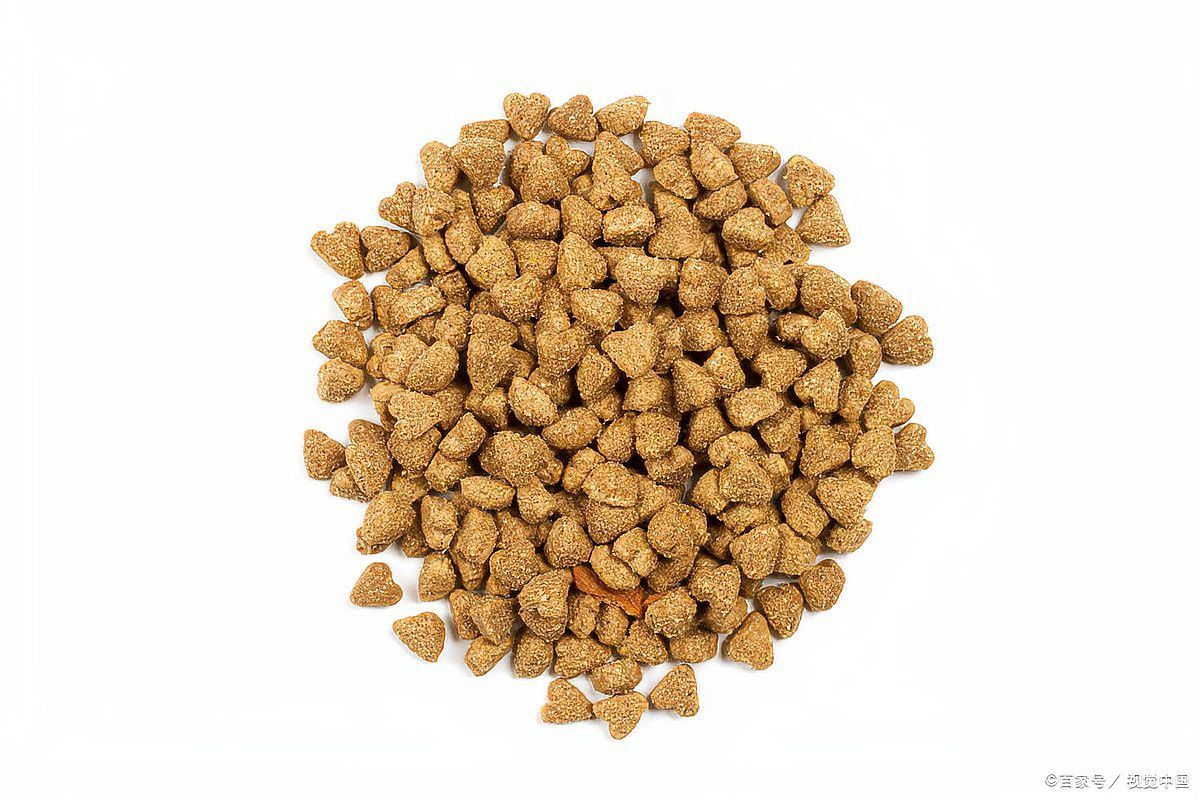 如何判斷紅龍飼料是否過期？