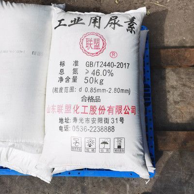 重慶龍魚批發市場