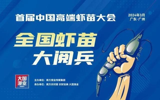 銀板魚苗飼料營養(yǎng)價值：銀板魚苗在幼年時期的養(yǎng)殖管理配方和細(xì)致的養(yǎng)殖管理