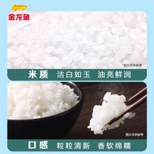 金龍魚(yú)5kg軟香稻圖片