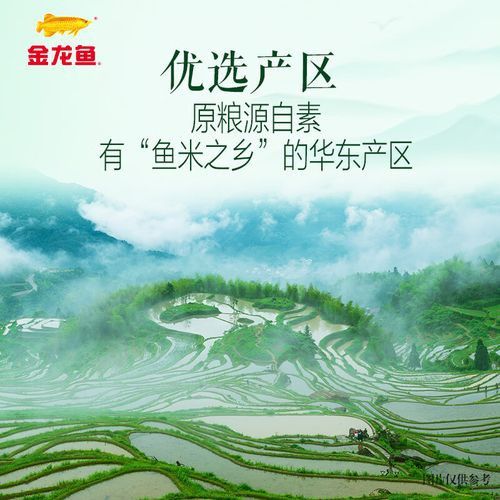 金龍魚(yú)5kg軟香稻圖片