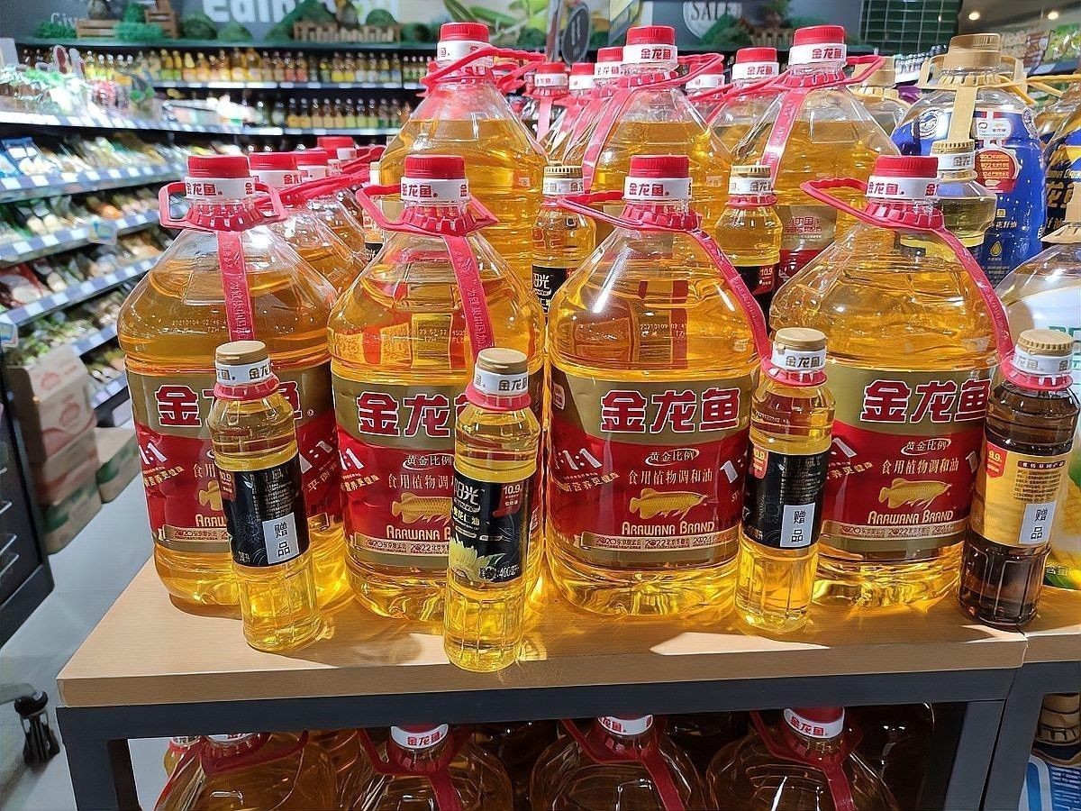 金龍魚圖片大圖大全
