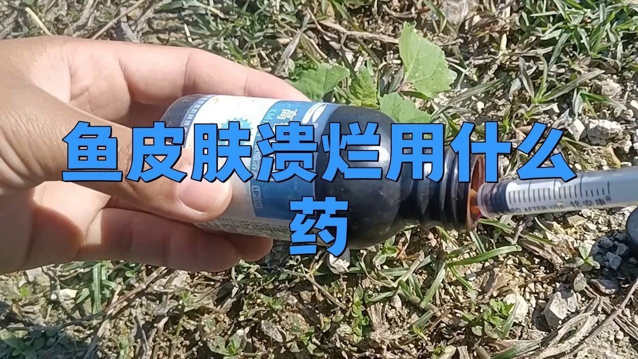 哪些藥物對魚破皮有效？